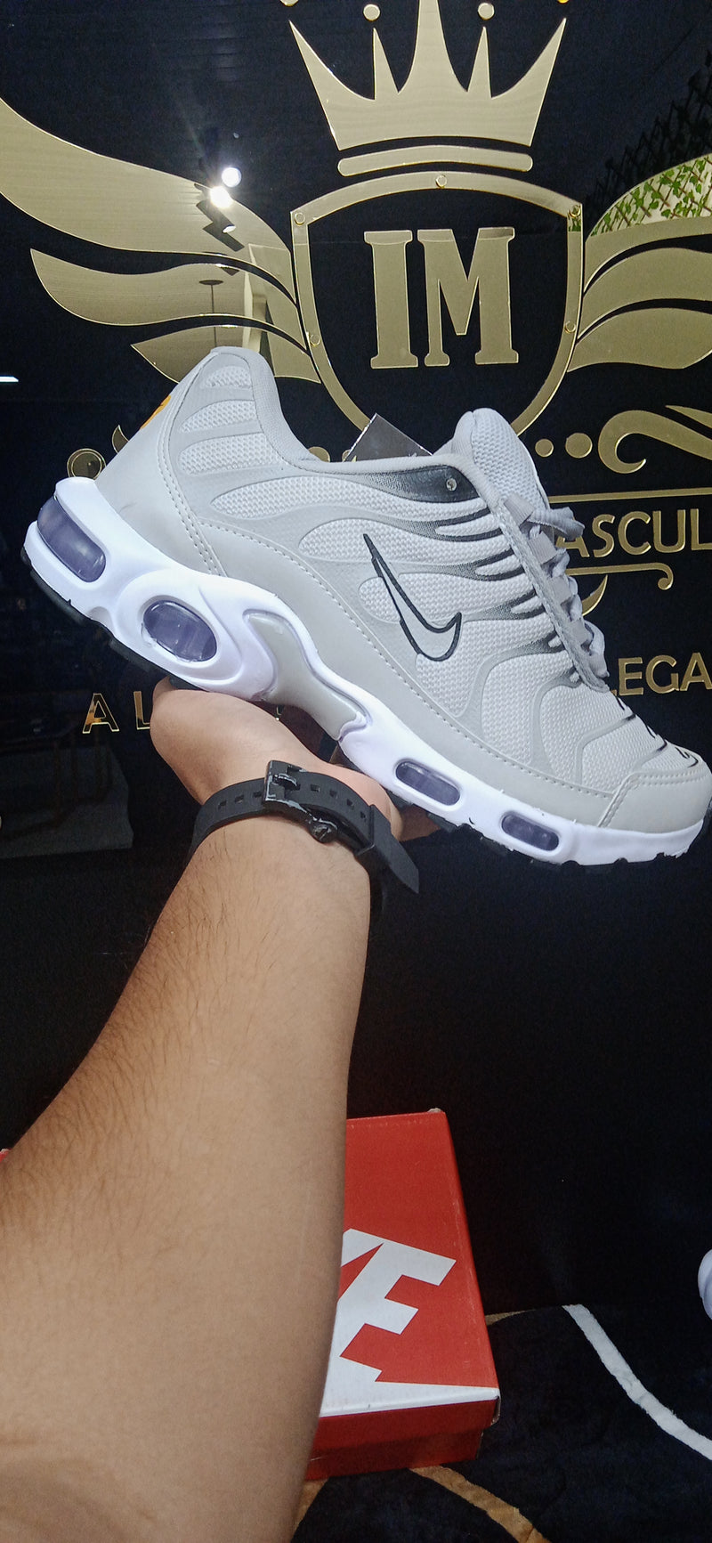 Air Max TN cinza